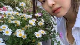 Kinh nghiệm chăm sóc  giống cây trồng